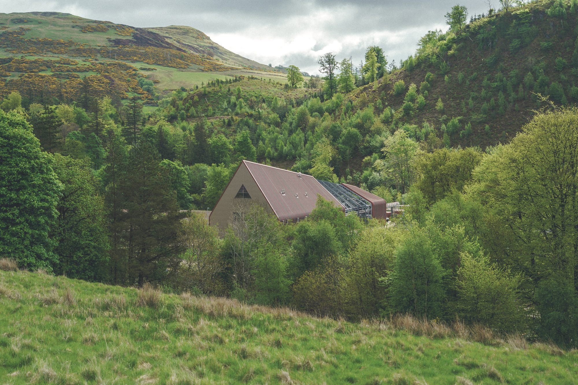 Ardgowan Distillery, Inverkip — die Brennerei liegt mit kupferrotem Dach in einem bewaldeten Tal des Ardgowan Estate, darüber die Hänge mit blühendem Ginster