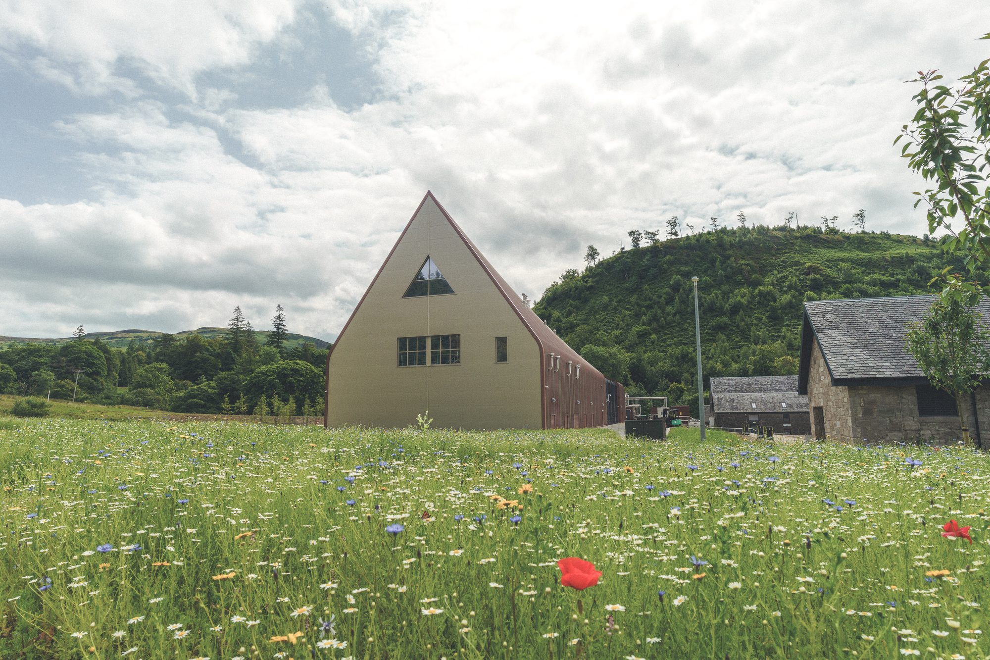 Ardgowan Distillery, Inverkip — der Giebel mit dem dreieckigen Fenster über einer Blumenwiese, rechts die alten Steingebäude von Bankfoot Farm