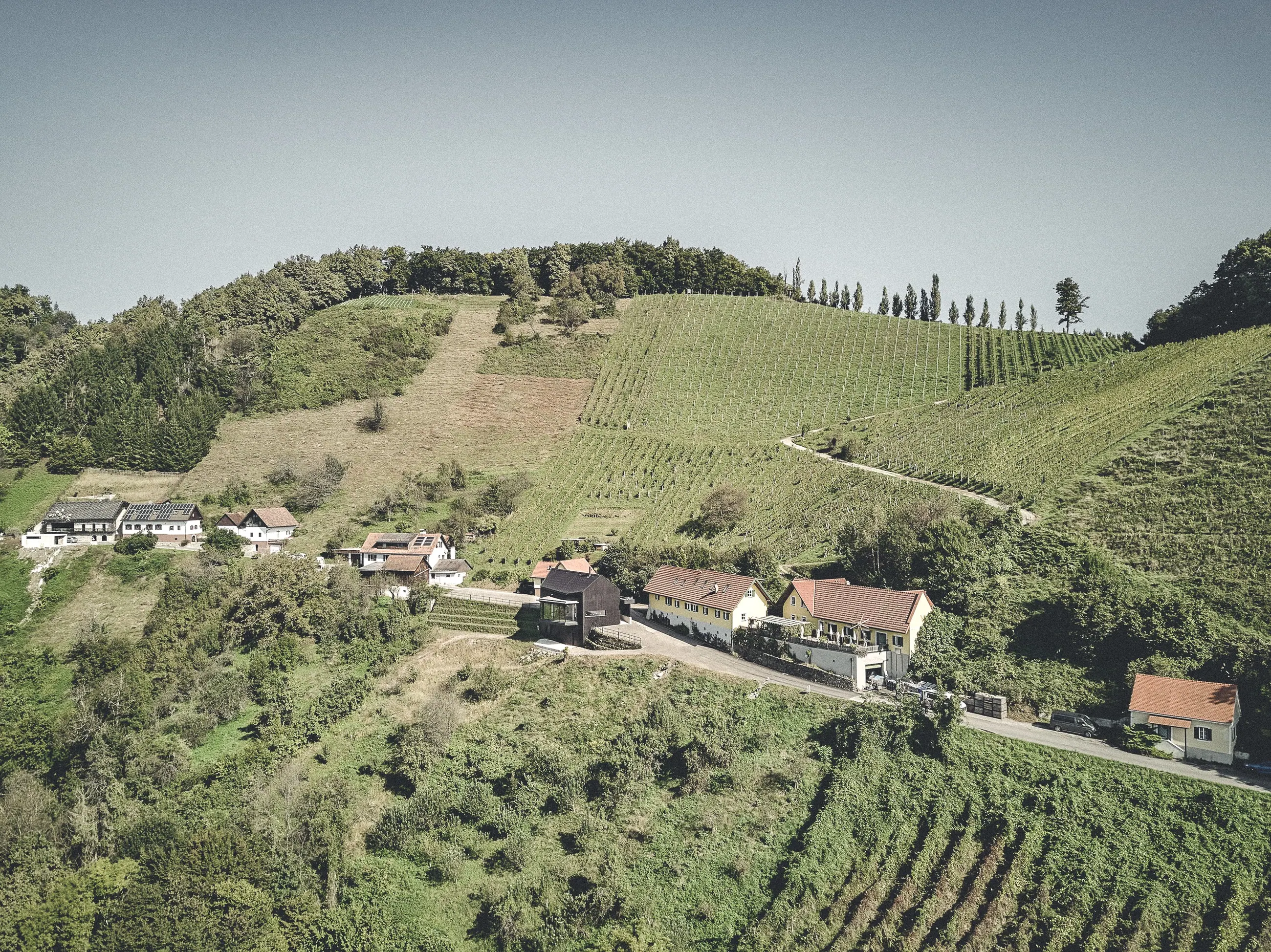 Weingut Malli, Südsteiermark — Luftaufnahme der Weinberge über dem Ort
