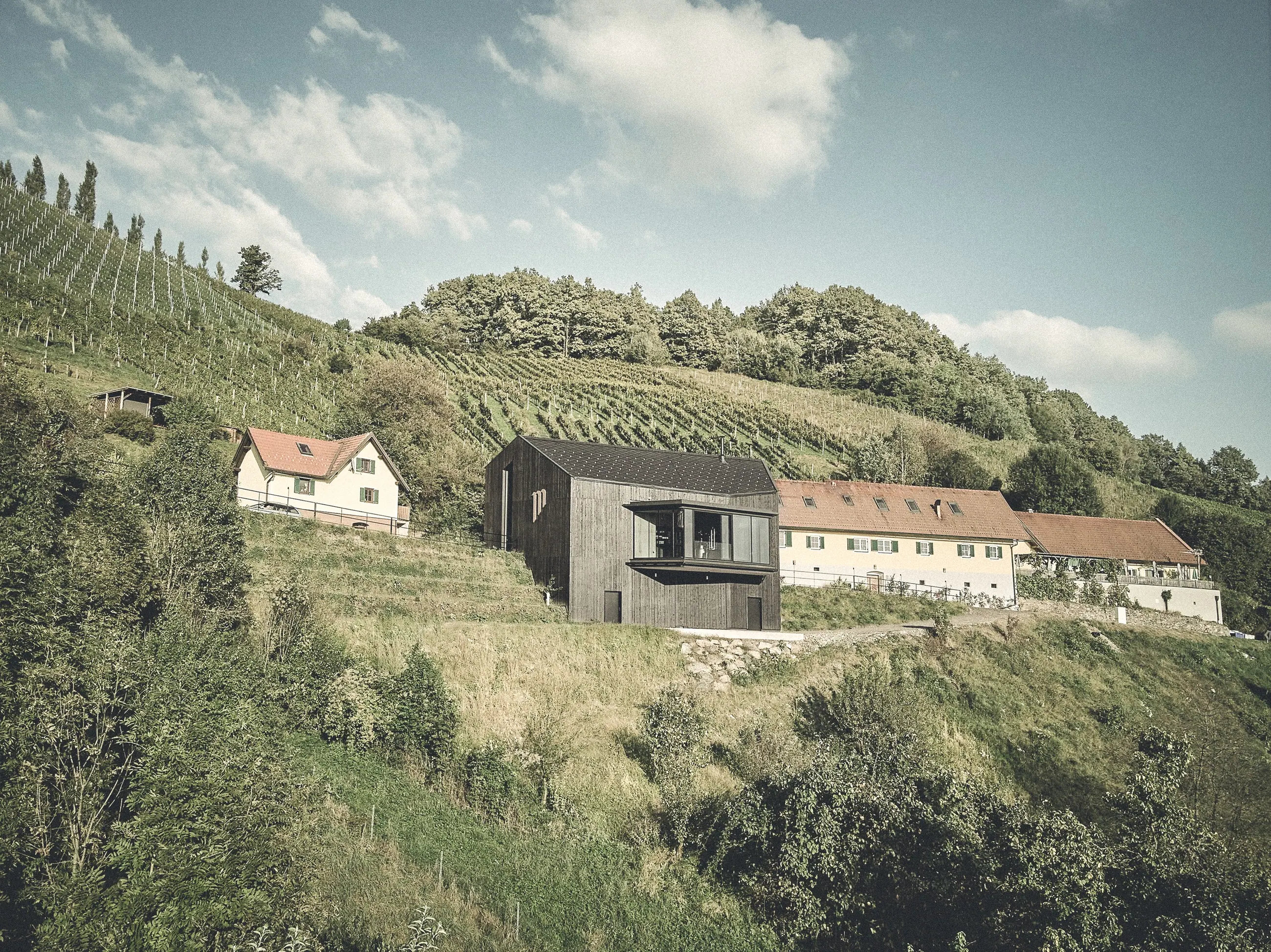 Weingut Malli, Südsteiermark — dunkler Neubau zwischen den bestehenden Häusern im Weinberg