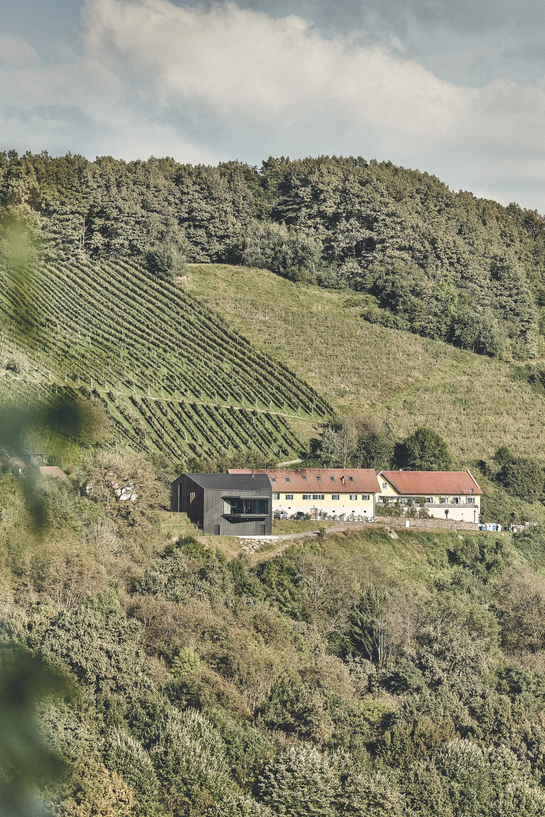 Weingut Malli, Südsteiermark — Weingut am Hang, dahinter die Rebzeilen bis zum Waldrand