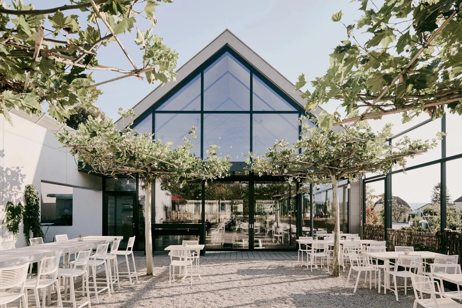 Gasthaus Nährer, Weinviertel — Giebelfassade aus Glas, davor Gastgarten unter berankter Pergola