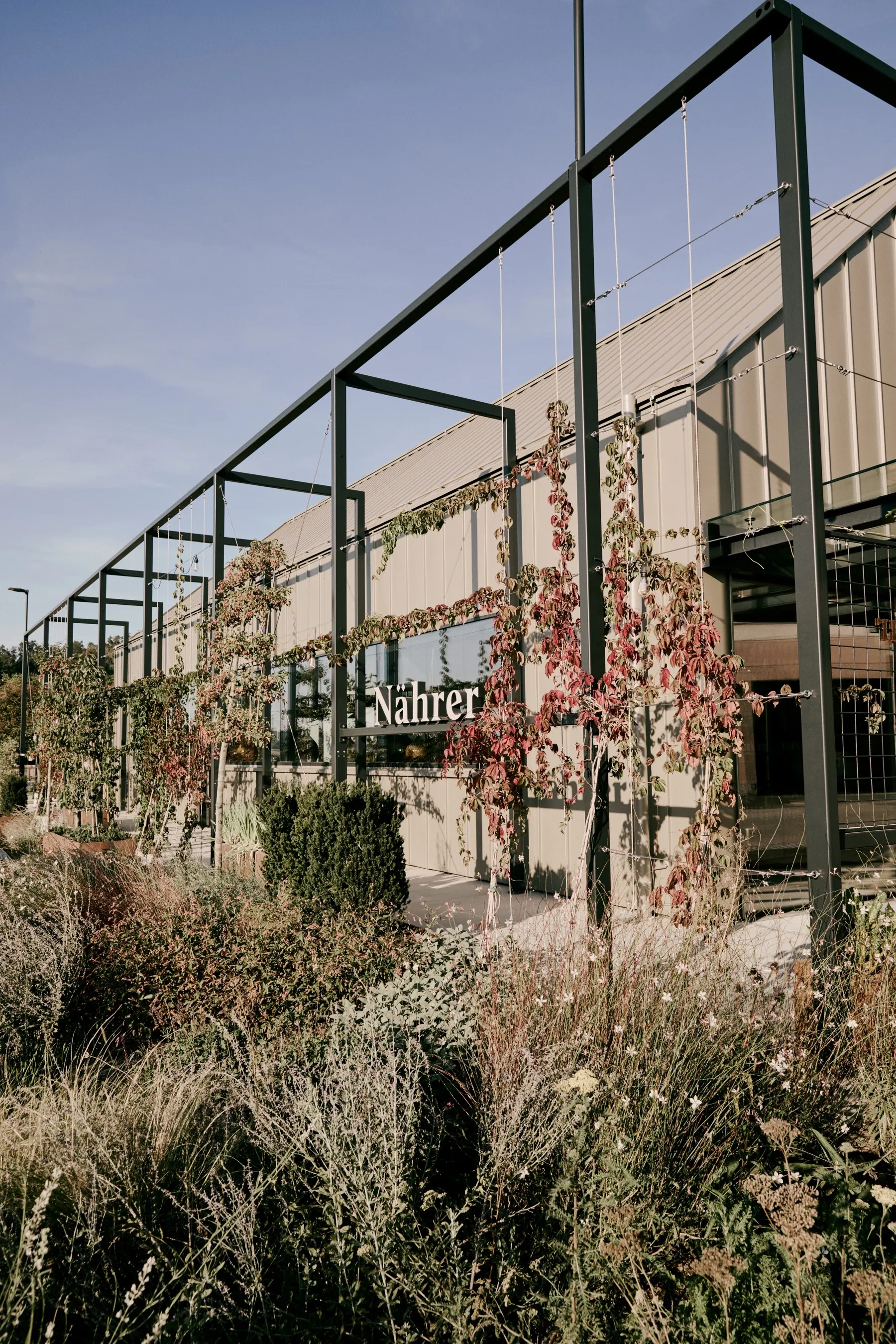 Gasthaus Nährer, Weinviertel — Stahlpergola mit Schriftzug an der Längsfassade, davor Gräserpflanzung