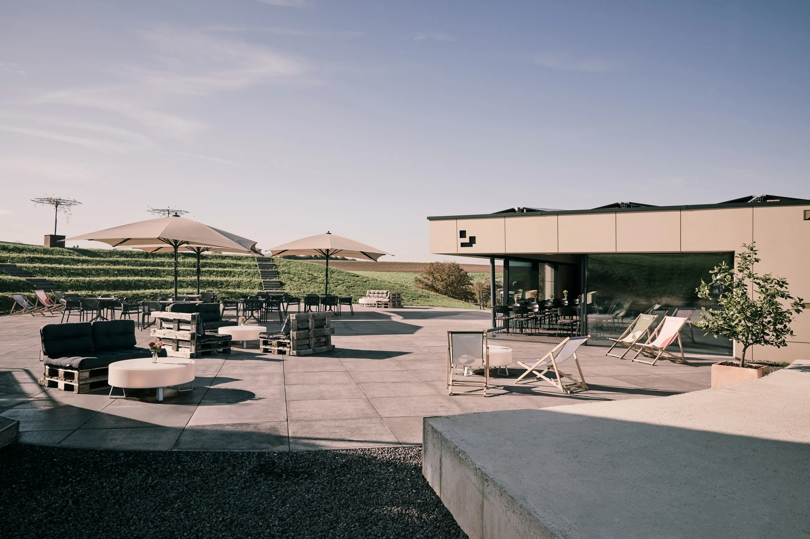 Vinosphäre Schropp, Württemberg — Terrasse mit Schirmen und Liegen, dahinter die Rebzeilen